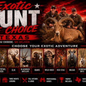 Texas Exotic Hunt of Choice